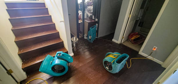 Best Water damage restoration near me  in White Bear Lake, MN