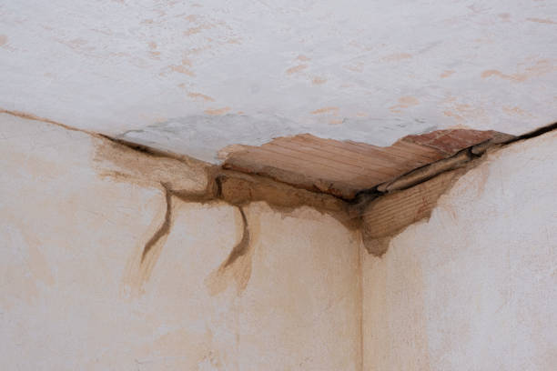 Professional Water damage restoration in White Bear Lake, MN