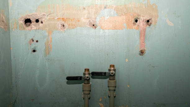 Water damage restoration insurance claims in White Bear Lake, MN
