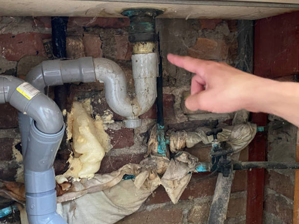 Best Flood damage cleanup  in White Bear Lake, MN