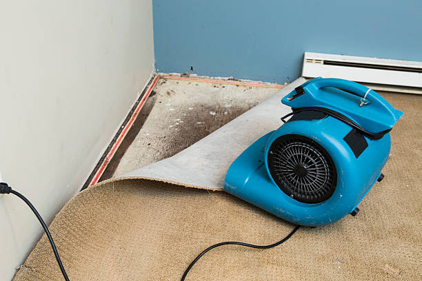 Best Water damage cleanup near me  in White Bear Lake, MN